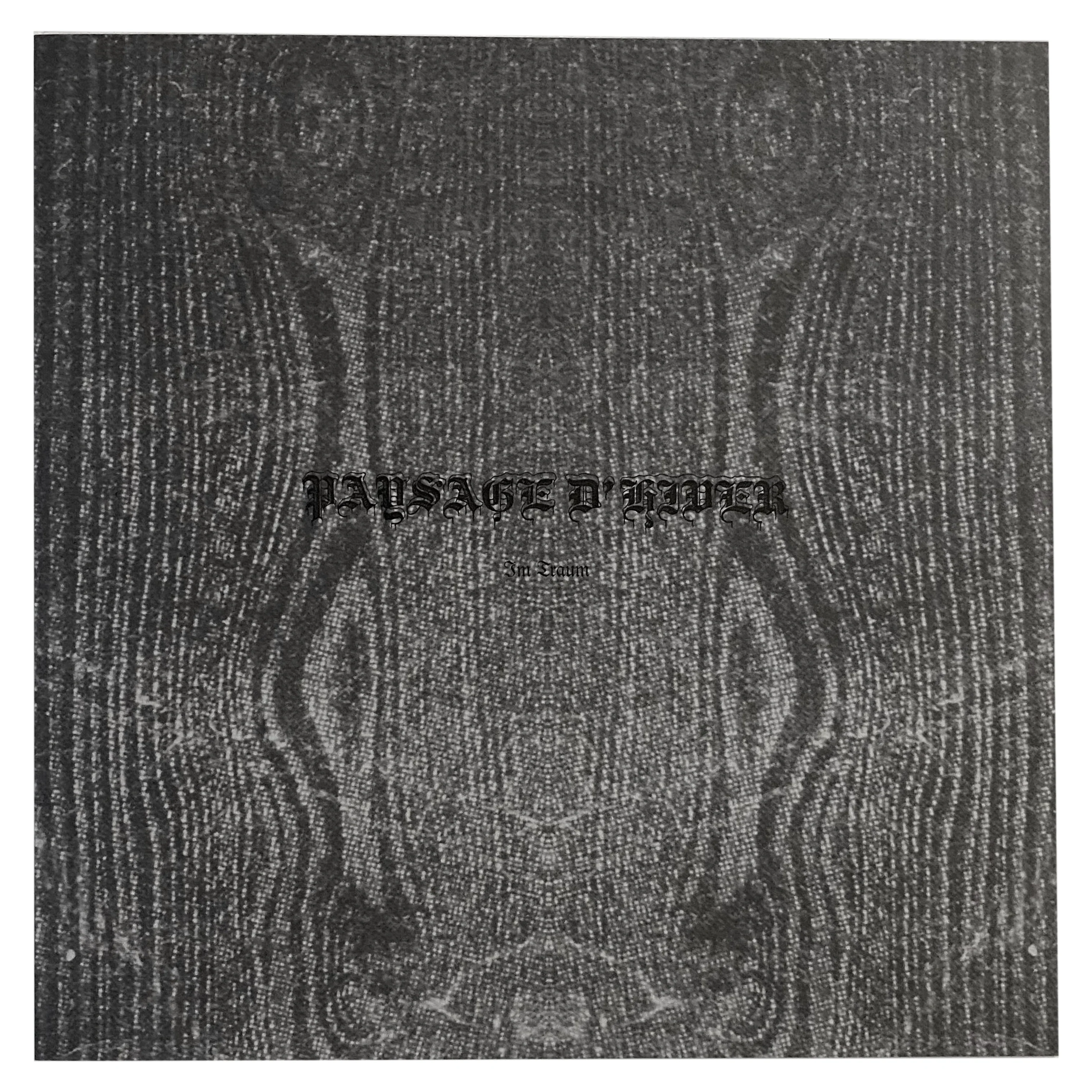 Paysage D'Hiver: Im Traum 10"