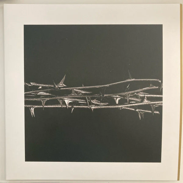Amenra: De Doorn 12"