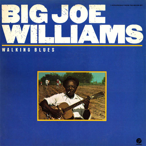 Big Joe Williams: Walking Blues 2x12"