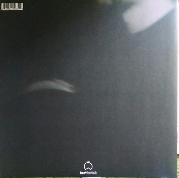 Birds In Row: We Already Lost The World 12" - Image 2