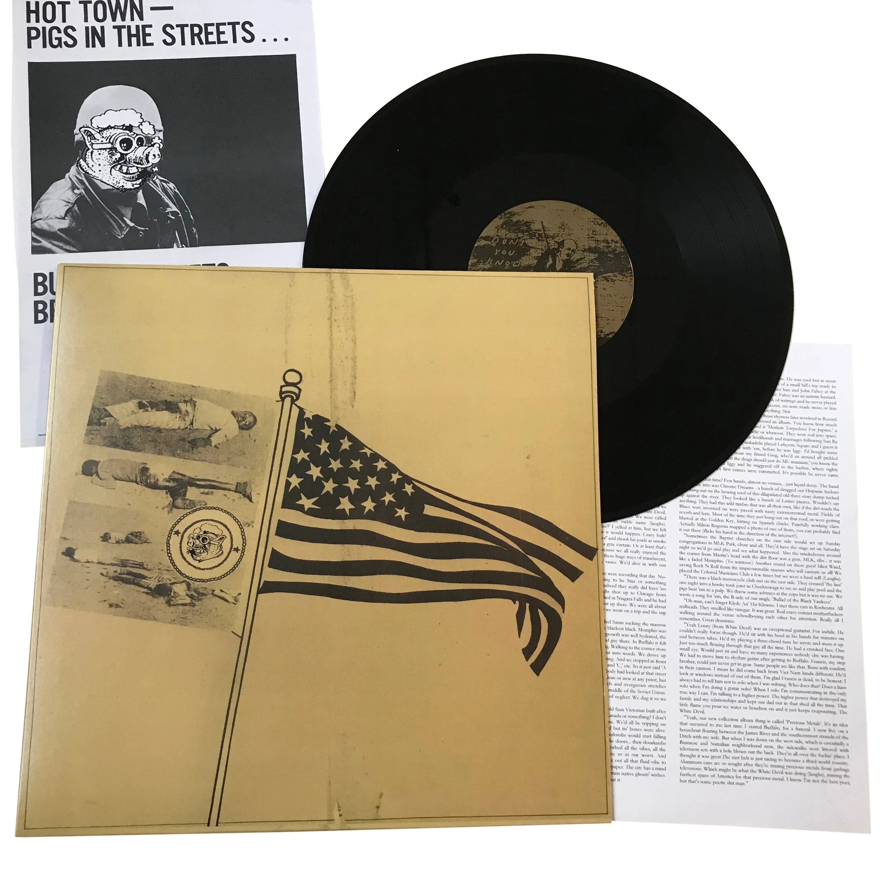 Brown Sugar: Sings of Birds and Racism 12"