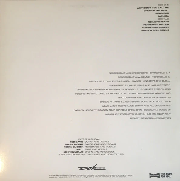 Cats On Holiday: Perpetual Motion 12" - Image 2
