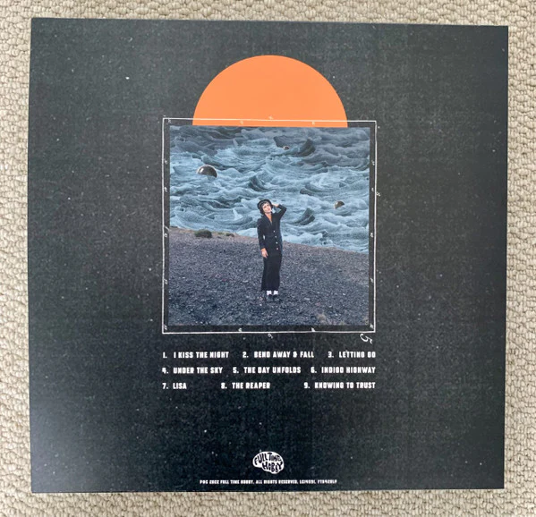 Dana Gavanski: When It Comes 12" - Image 2