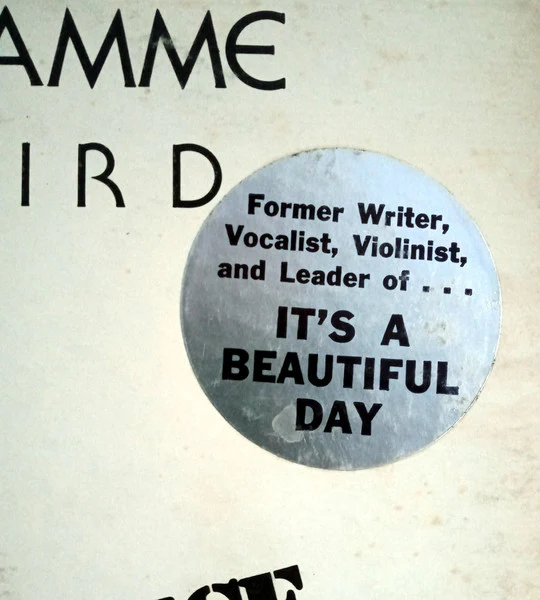 David LaFlamme: White Bird 12" - Image 3