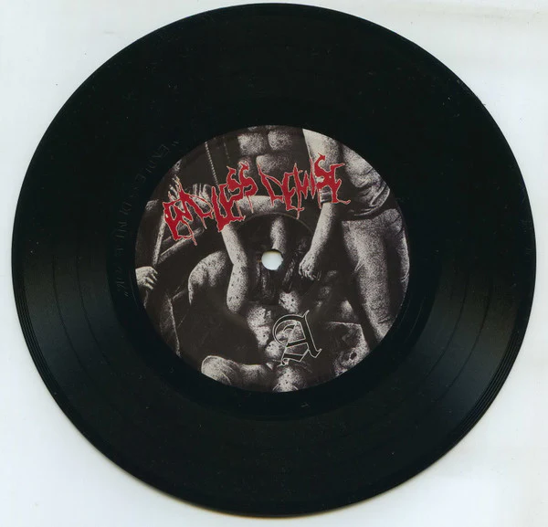 Endless Demise / Fiend: Split 7" - Image 3