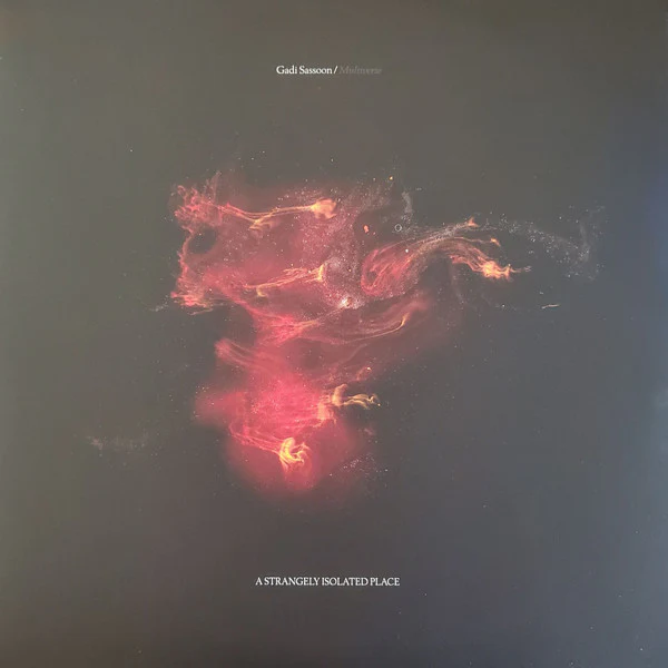 Gadi Sassoon: Multiverse 2x12"