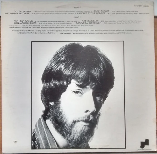 Harvey Mandel: Feel The Sound Of Harvey Mandel 12" - Image 2