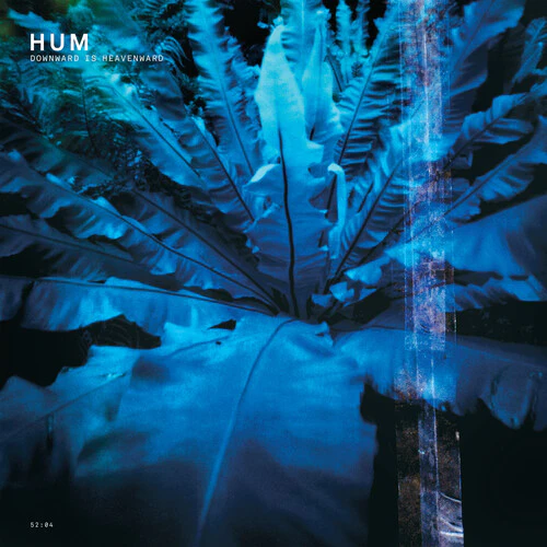 Hum: Downward Is Heavenward 12"