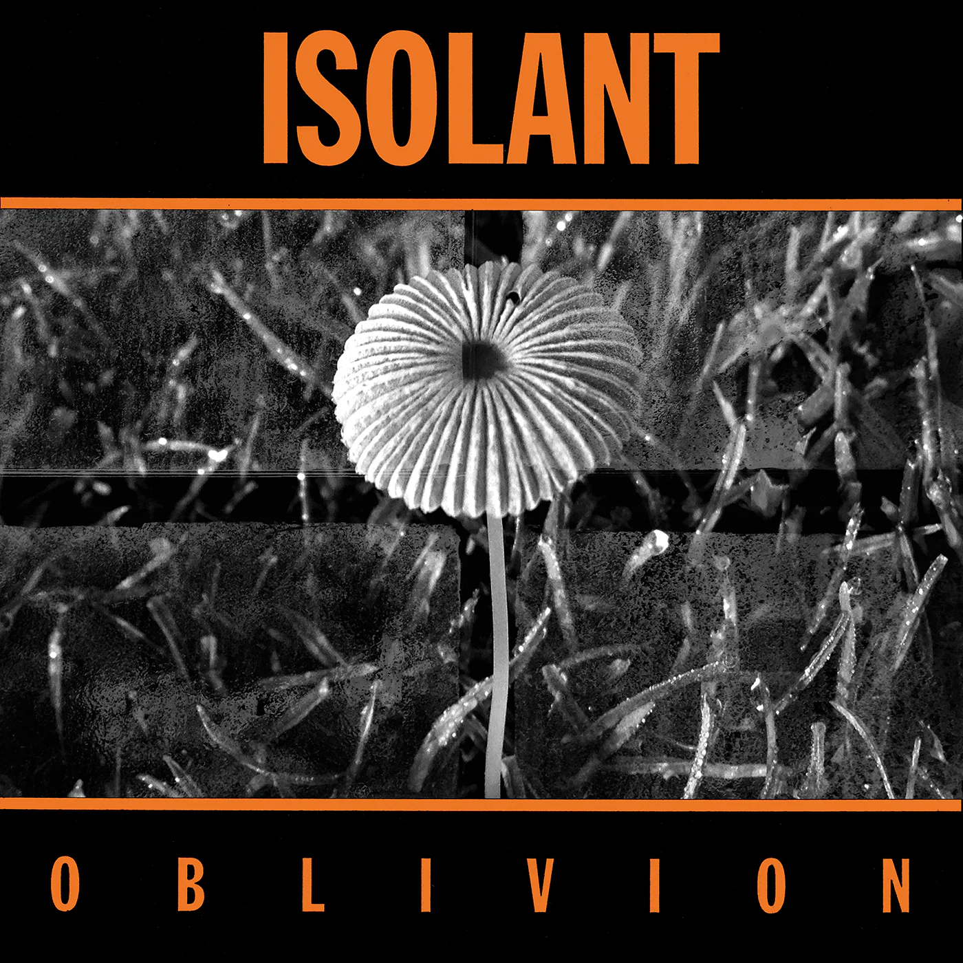 Isolant: Oblivion 12" - Image 2