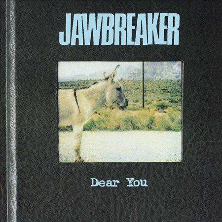 Jawbreaker: Dear You 12"