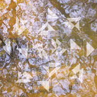 Koen Holtkamp: Liquid Light Forms 12"