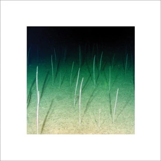 Mike Weis: Loop Current / Raft 12"