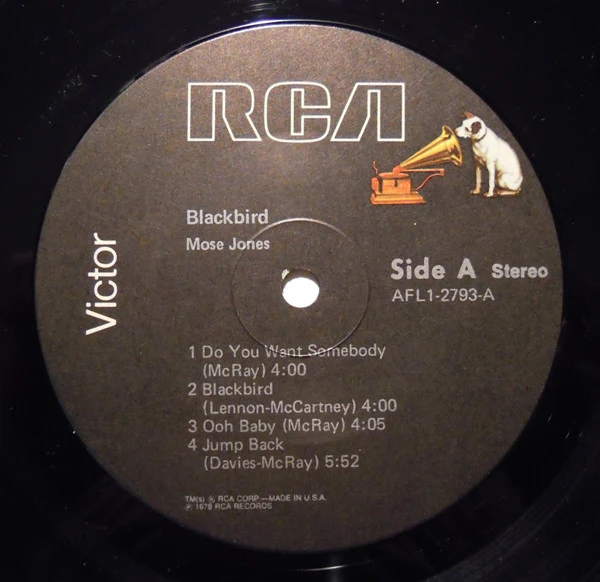 Mose Jones: Blackbird 12" - Image 3
