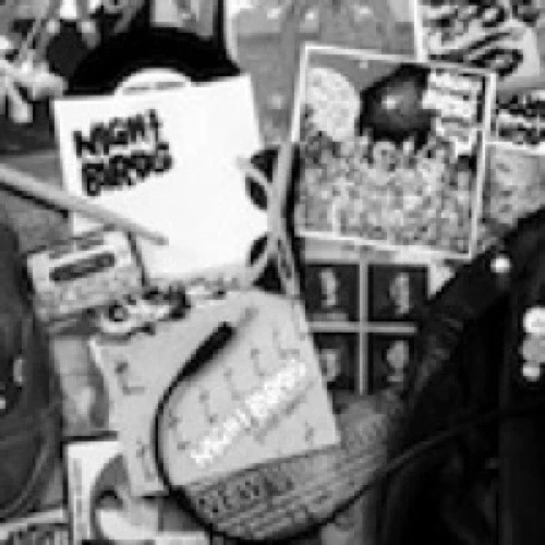 Night Birds: Fresh Kills Vol 1 12"