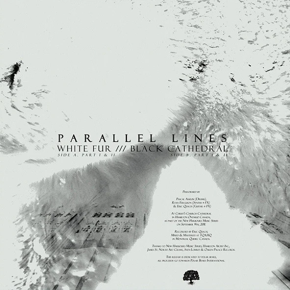 Parallel Lines: White Fur / Black Cathedral 12" - Image 2
