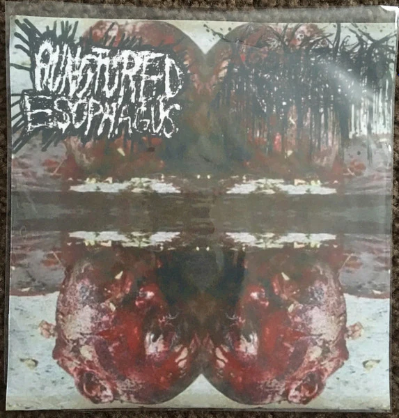 Punctured Esophagus / Agonizing Sepsis: Split 7"