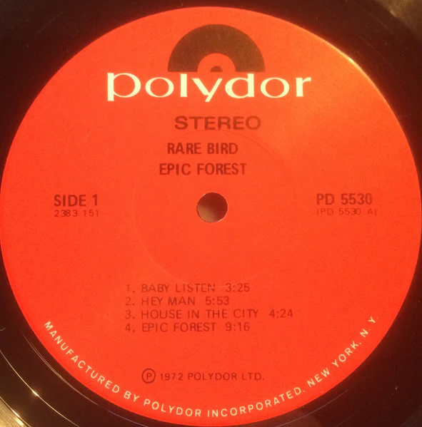 Rare Bird: Epic Forest 12" - Image 3