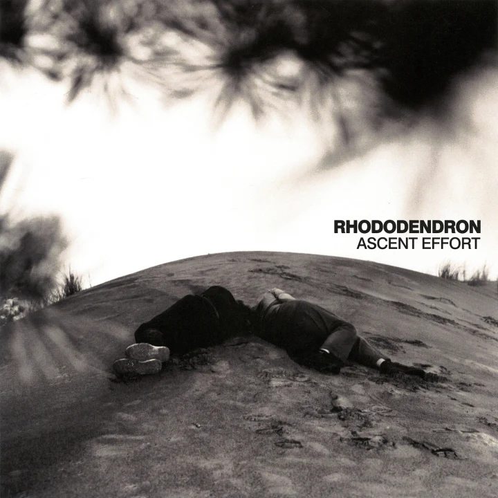 Rhododendron: Ascent Effort 12"