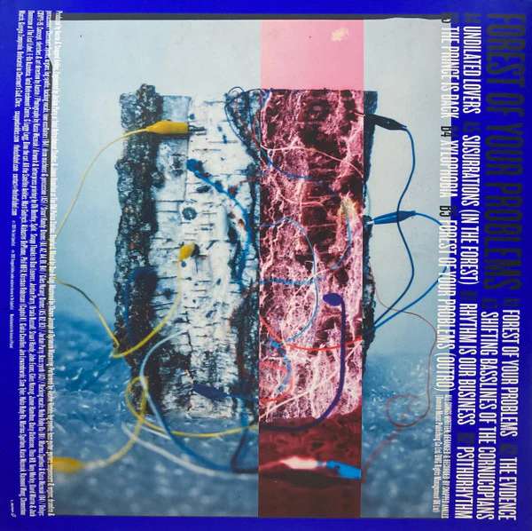 Snapped Ankles: Forest Of Your Problems 12" - Image 2