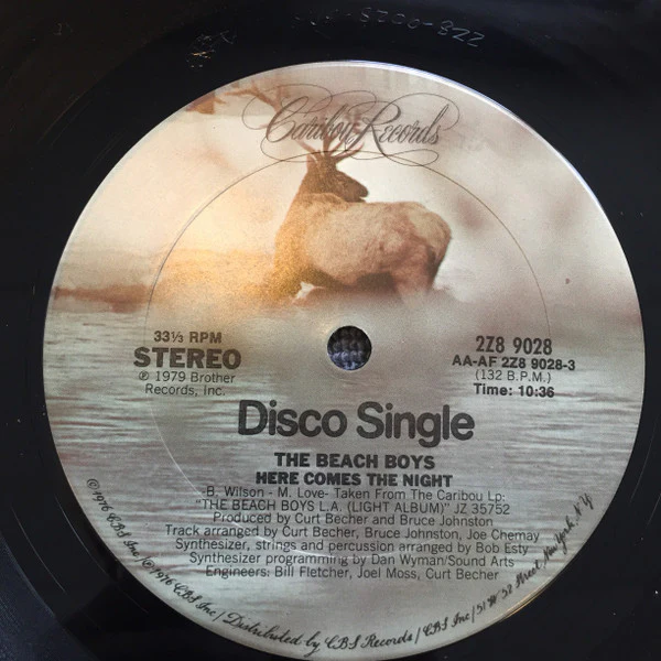 The Beach Boys: Here Comes The Night 12" - Image 2