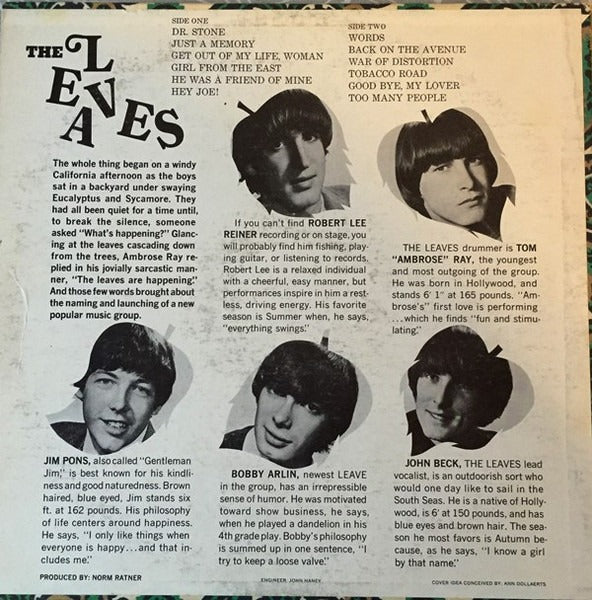 The Leaves: Hey Joe 12" - Image 2