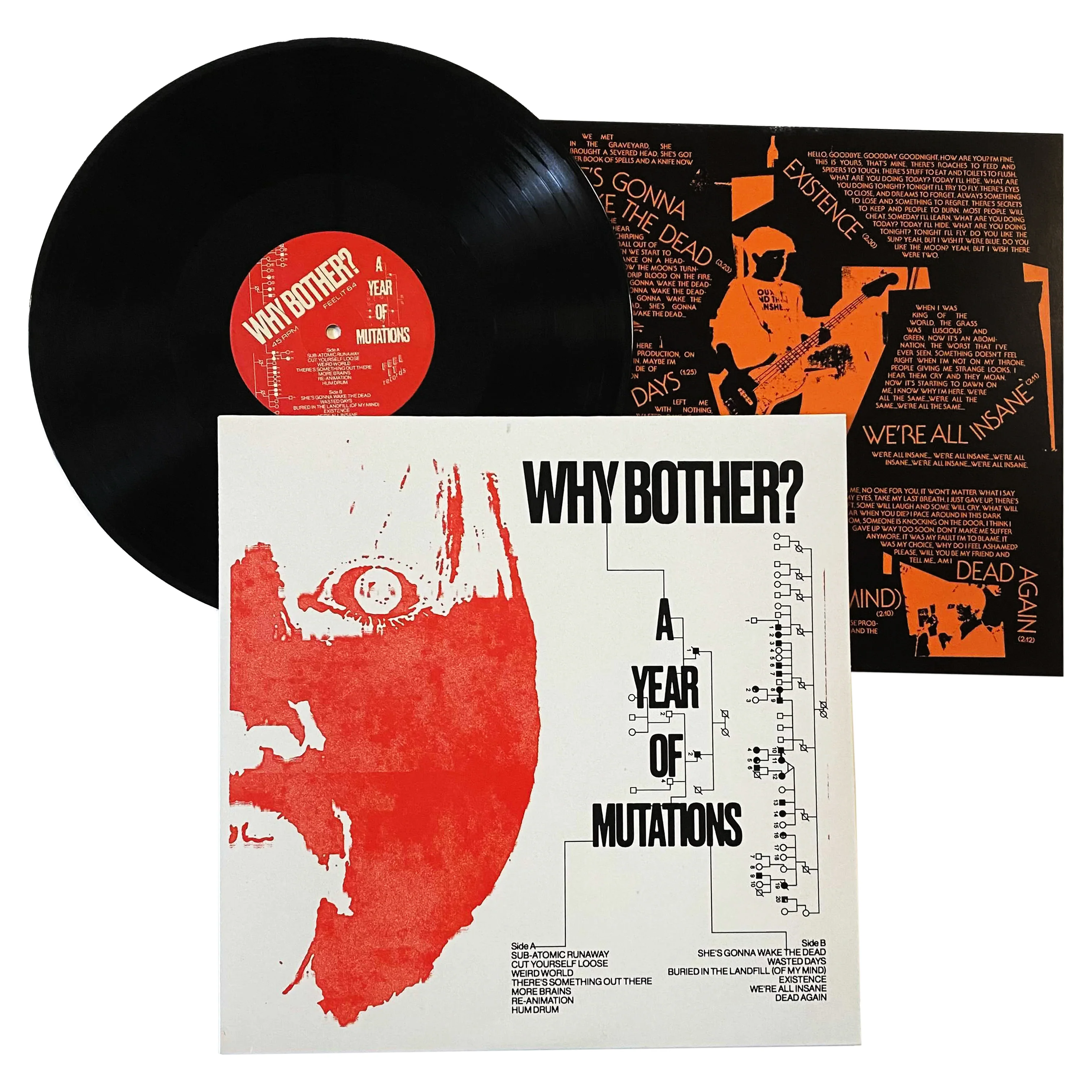 Why Bother?: A Year of Mutations 12" - Image 2